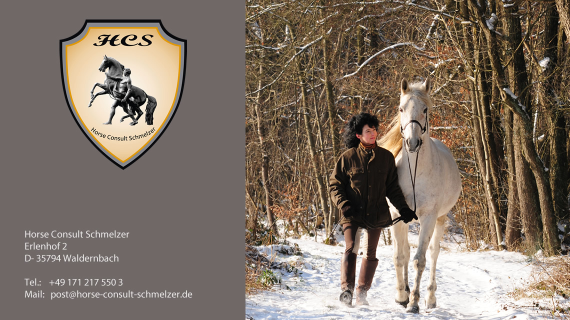 Winter: Pferdebetriebe am Laufen halten