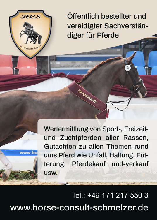 Pferdesachverstaendiger, Wertermittlung Pferde