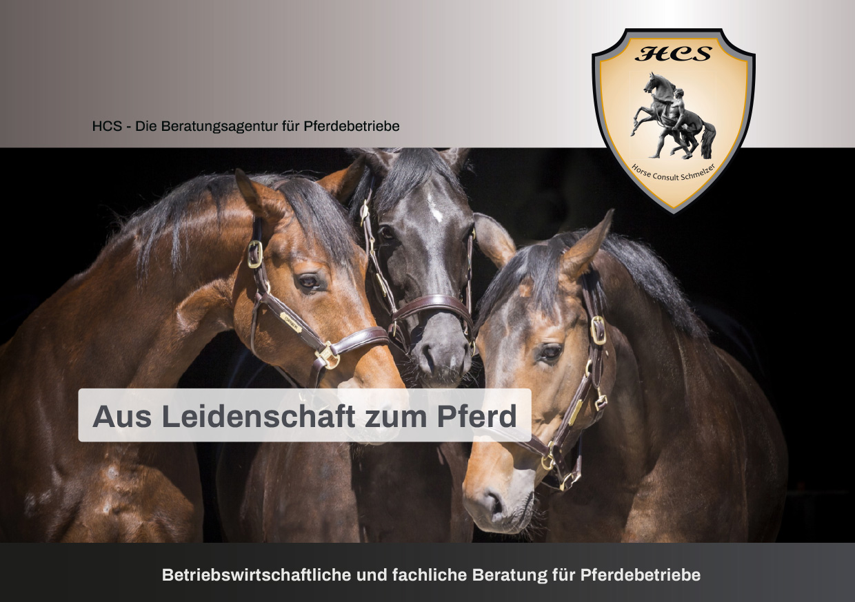Betriebswirtschaftliche und fachliche Beratung f&uuml;r Pferdebetriebe